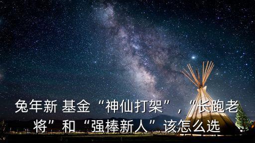 兔年新 基金“神仙打架”,“長跑老將”和“強棒新人”該怎么選