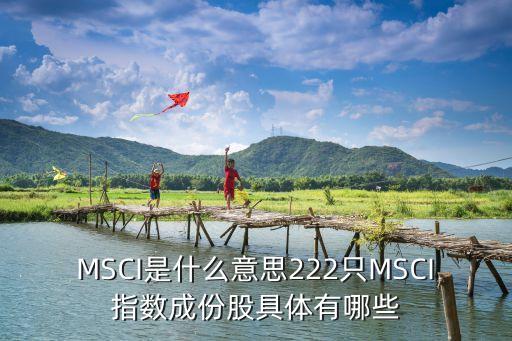 MSCI是什么意思222只MSCI指數(shù)成份股具體有哪些