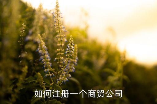 如何注冊一個(gè)商貿(mào)公司