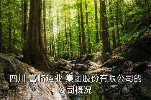 四川 富臨運(yùn)業(yè) 集團(tuán)股份有限公司的公司概況