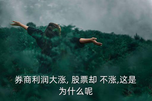 券商利潤大漲, 股票卻 不漲,這是為什么呢