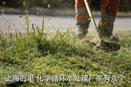 上海的電 化學循環(huán)水處理廠家有幾個