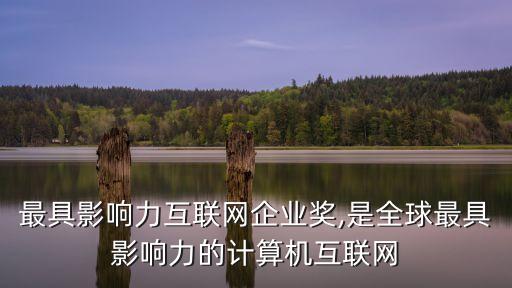 中國最具影響力互聯(lián)網(wǎng)企業(yè)獎,是全球最具影響力的計(jì)算機(jī)互聯(lián)網(wǎng)