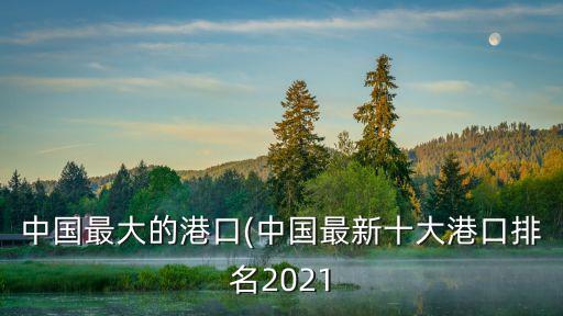 中國最大的港口(中國最新十大港口排名2021