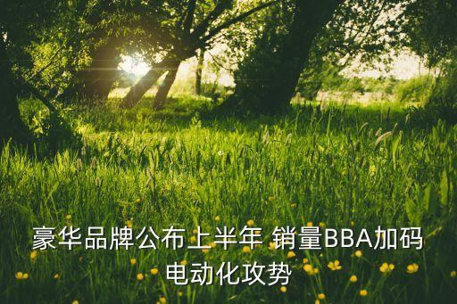 豪華品牌公布上半年 銷量BBA加碼電動化攻勢