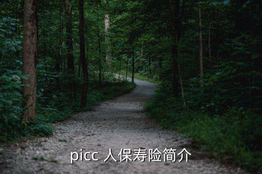 picc 人保壽險簡介