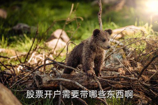  股票開(kāi)戶需要帶哪些東西啊