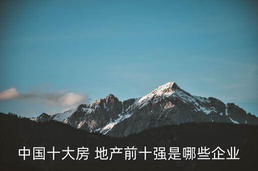 中國十大房 地產(chǎn)前十強是哪些企業(yè)