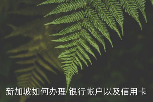 新加坡如何辦理 銀行帳戶以及信用卡