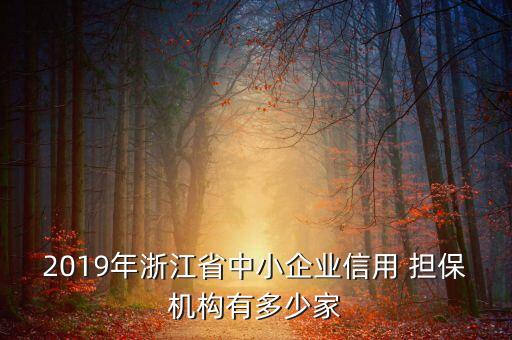 2019年浙江省中小企業(yè)信用 擔(dān)保機(jī)構(gòu)有多少家