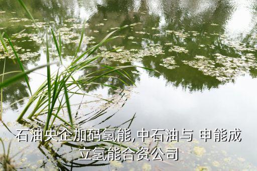 石油央企加碼氫能,中石油與 申能成立氫能合資公司