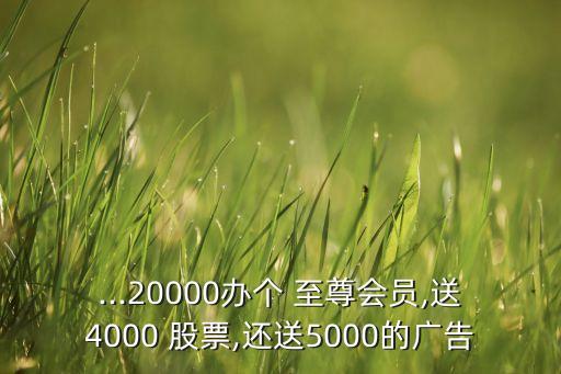 ...20000辦個 至尊會員,送4000 股票,還送5000的廣告