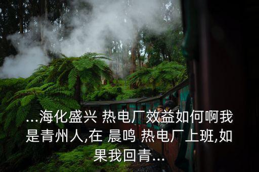 ...?；⑴d 熱電廠效益如何啊我是青州人,在 晨鳴 熱電廠上班,如果我回青...