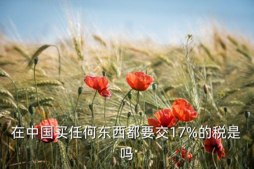 在中國(guó)買任何東西都要交17%的稅是嗎