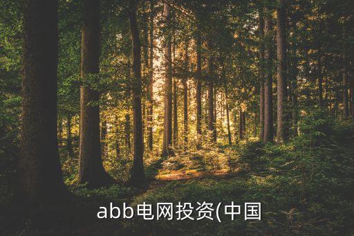  abb電網(wǎng)投資(中國