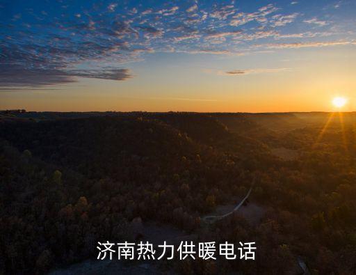 山東晨鳴熱電有限公司,山東易達熱電科技有限公司