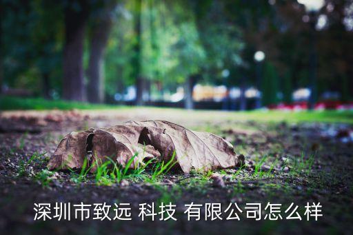  深圳市致遠(yuǎn) 科技 有限公司怎么樣