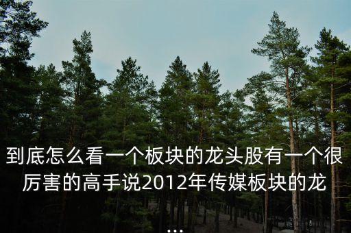 到底怎么看一個板塊的龍頭股有一個很厲害的高手說2012年傳媒板塊的龍...