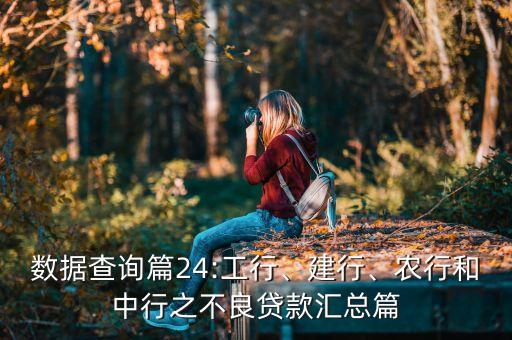 數(shù)據(jù)查詢篇24:工行、建行、農(nóng)行和中行之不良貸款匯總篇