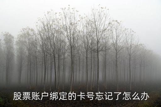  股票賬戶綁定的卡號忘記了怎么辦