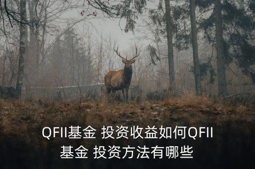 QFII基金 投資收益如何QFII基金 投資方法有哪些