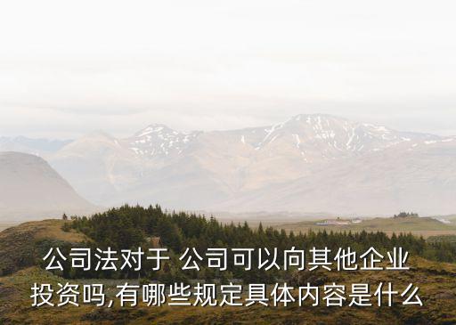  公司法對于 公司可以向其他企業(yè) 投資嗎,有哪些規(guī)定具體內容是什么