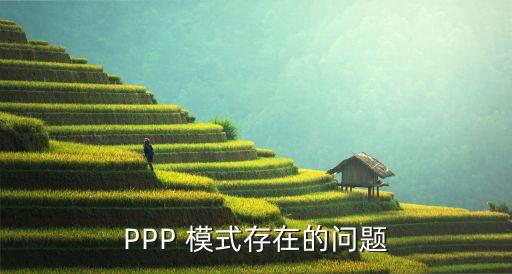 PPP 模式存在的問題