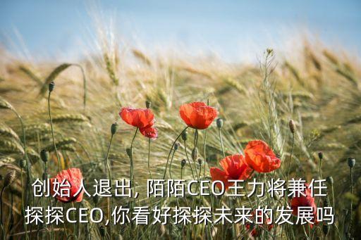 創(chuàng)始人退出, 陌陌CEO王力將兼任探探CEO,你看好探探未來的發(fā)展嗎