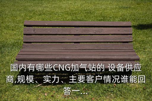 國內(nèi)有哪些CNG加氣站的 設備供應商,規(guī)模、實力、主要客戶情況誰能回答一...