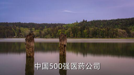 中國(guó)500強(qiáng)醫(yī)藥公司