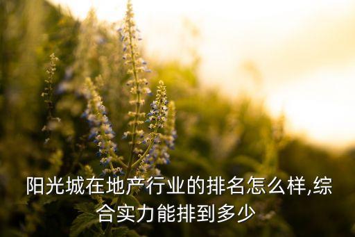  陽光城在地產(chǎn)行業(yè)的排名怎么樣,綜合實(shí)力能排到多少