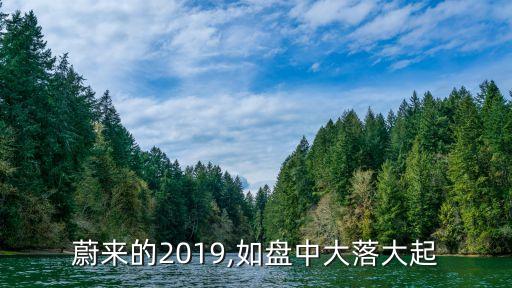 蔚來的2019,如盤中大落大起