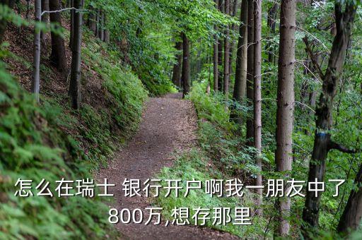 怎么在瑞士 銀行開戶啊我一朋友中了800萬,想存那里