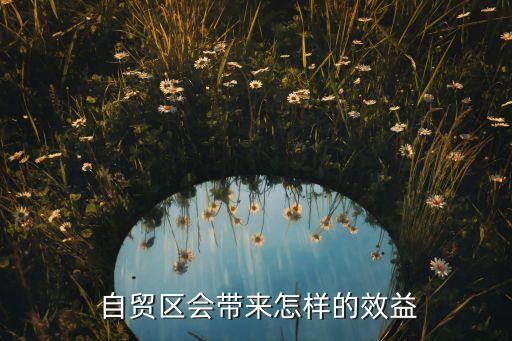  自貿(mào)區(qū)會帶來怎樣的效益