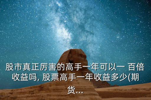 股市真正厲害的高手一年可以一 百倍收益嗎, 股票高手一年收益多少(期貨...