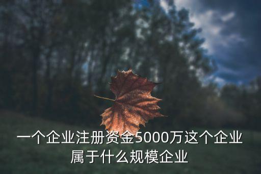 一個企業(yè)注冊資金5000萬這個企業(yè)屬于什么規(guī)模企業(yè)