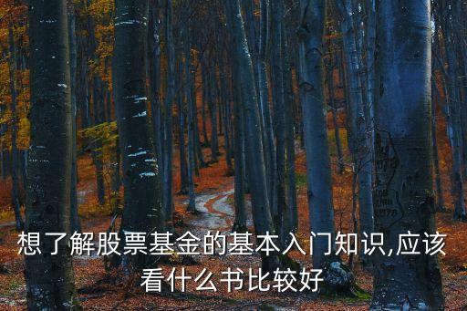 想了解股票基金的基本入門知識,應(yīng)該看什么書比較好