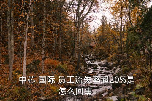  中芯 國(guó)際 員工流失率超20%是怎么回事