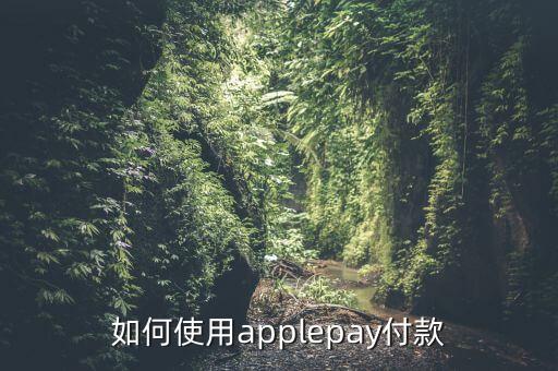 如何使用applepay付款