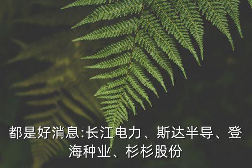 都是好消息:長江電力、斯達半導(dǎo)、登海種業(yè)、杉杉股份