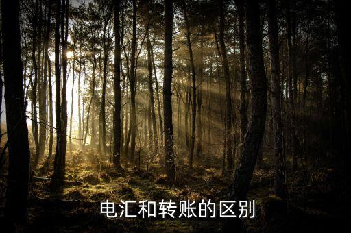  電匯和轉(zhuǎn)賬的區(qū)別