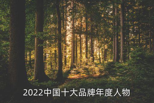 2022中國(guó)十大品牌年度人物