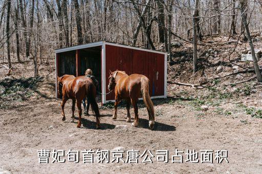  曹妃旬首鋼京唐公司占地面積