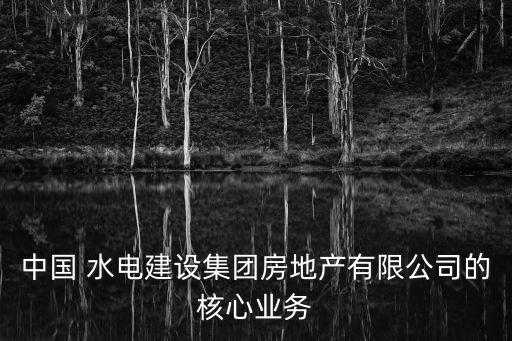 中國 水電建設(shè)集團房地產(chǎn)有限公司的核心業(yè)務(wù)