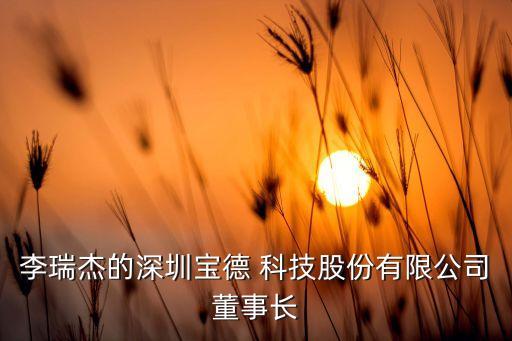 李瑞杰的深圳寶德 科技股份有限公司董事長(zhǎng)