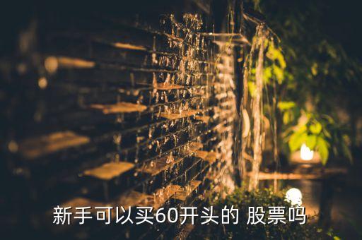 新手可以買60開頭的 股票嗎