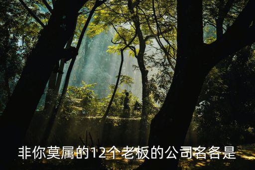 非你莫屬的12個老板的公司名各是