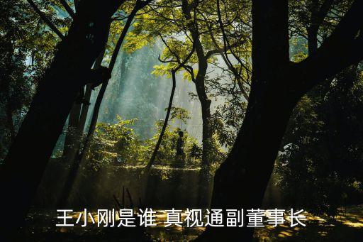 王小剛是誰(shuí) 真視通副董事長(zhǎng)