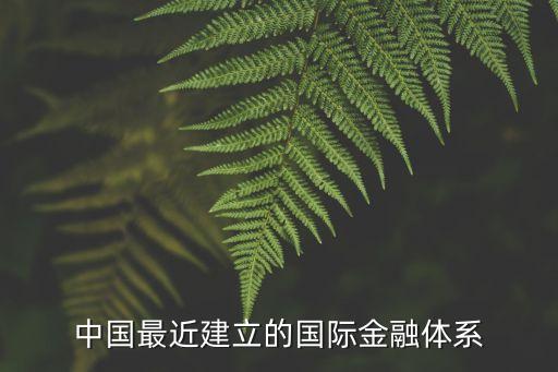 中國最近建立的國際金融體系