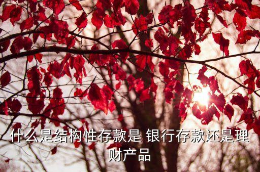 什么是結(jié)構(gòu)性存款是 銀行存款還是理財(cái)產(chǎn)品